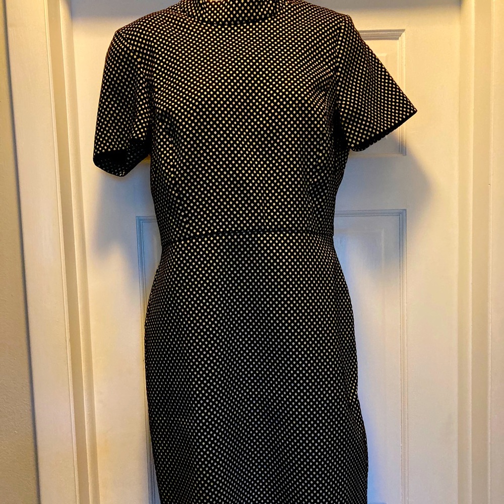 J Crew Dress
